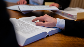Gesellschaftsrecht - Unternehmensrecht - Umgründungsrecht (Einbringung, Verschmelzung, Spaltung, Umwandlung, Realteilung) - Privatstiftungsrecht - Transportrecht - Bankenrecht - Wettbewerbsrecht - Markenrecht - Patentrecht - Urheberrecht (geistiges Eigentum) – Steuerrecht, Forderungsbetreibungen (Exekutionen), Firmenbuchangelegenheiten